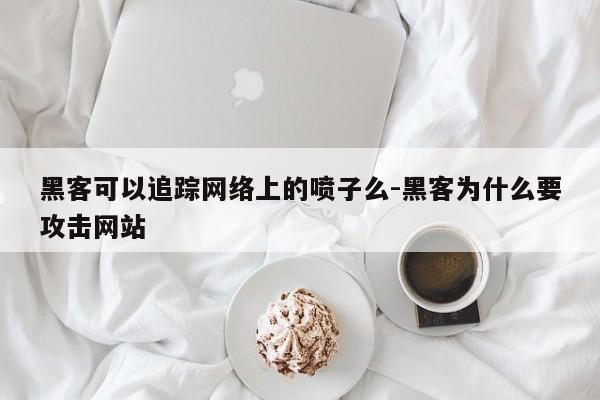 黑客可以追踪网络上的喷子么-黑客为什么要攻击网站