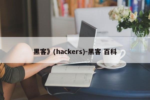 黑客》(hackers)-黑客 百科