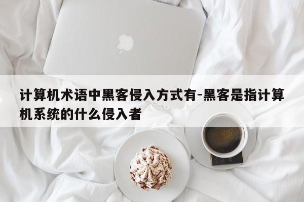 计算机术语中黑客侵入方式有-黑客是指计算机系统的什么侵入者