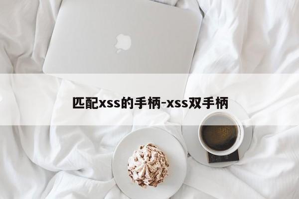 匹配xss的手柄-xss双手柄