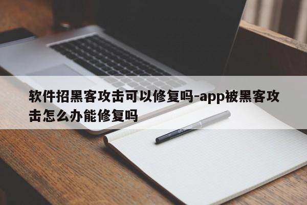 软件招黑客攻击可以修复吗-app被黑客攻击怎么办能修复吗