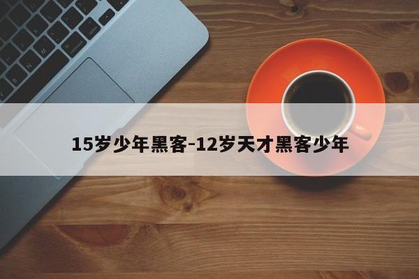 15岁少年黑客-12岁天才黑客少年