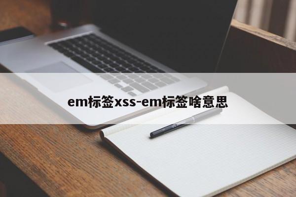 em标签xss-em标签啥意思