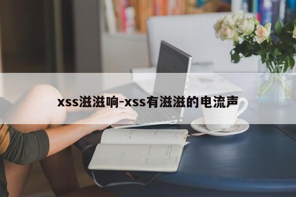 xss滋滋响-xss有滋滋的电流声