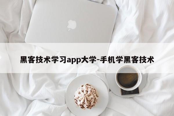 黑客技术学习app大学-手机学黑客技术