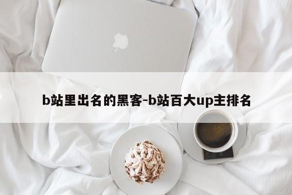 b站里出名的黑客-b站百大up主排名