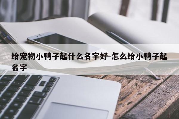 给宠物小鸭子起什么名字好-怎么给小鸭子起名字