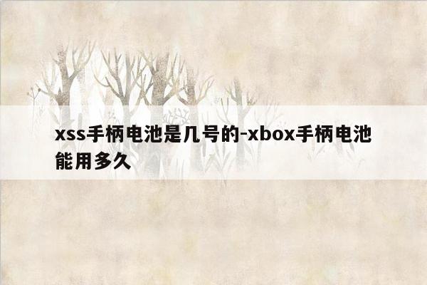 xss手柄电池是几号的-xbox手柄电池能用多久
