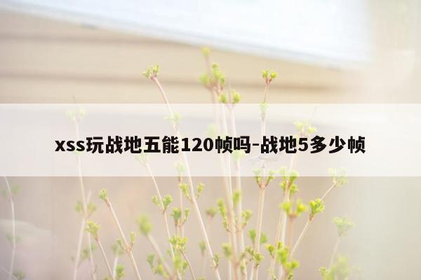 xss玩战地五能120帧吗-战地5多少帧