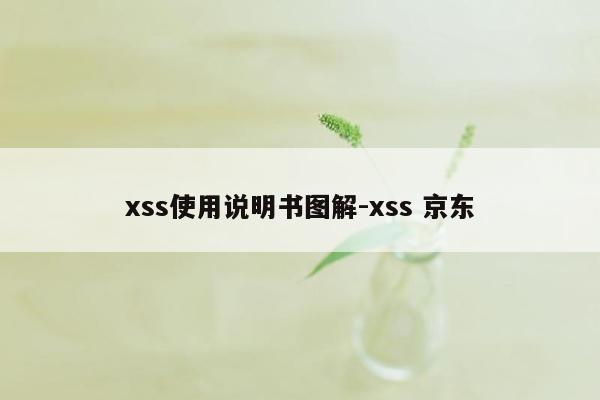 xss使用说明书图解-xss 京东