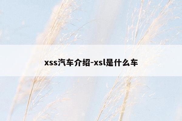 xss汽车介绍-xsl是什么车