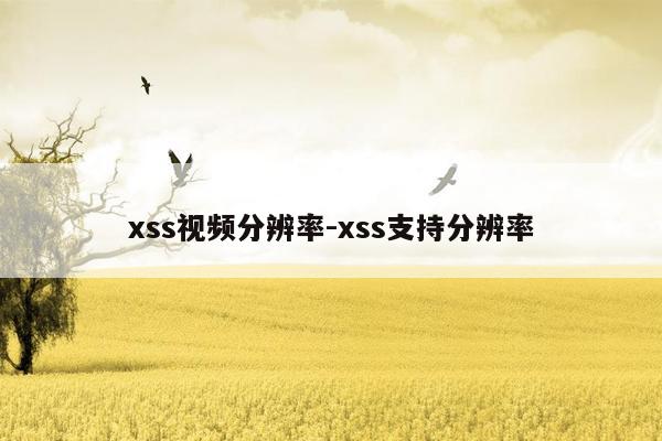 xss视频分辨率-xss支持分辨率