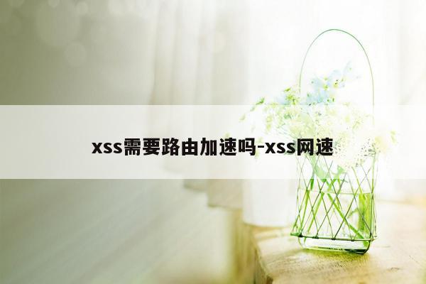 xss需要路由加速吗-xss网速