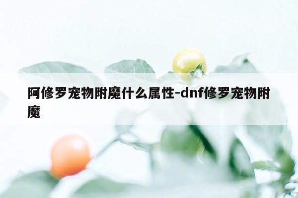 阿修罗宠物附魔什么属性-dnf修罗宠物附魔