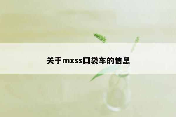 关于mxss囗袋车的信息