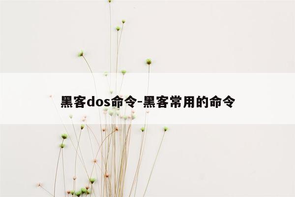 黑客dos命令-黑客常用的命令