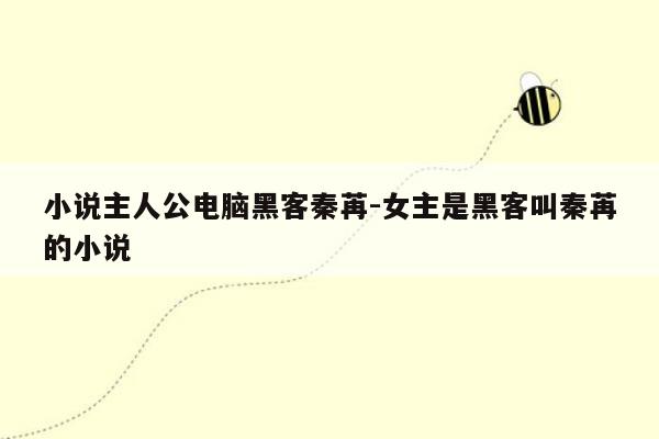 小说主人公电脑黑客秦苒-女主是黑客叫秦苒的小说