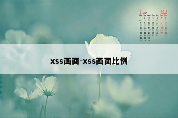 xss画面-xss画面比例