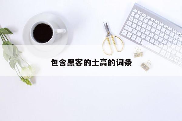 包含黑客的士高的词条