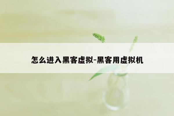 怎么进入黑客虚拟-黑客用虚拟机