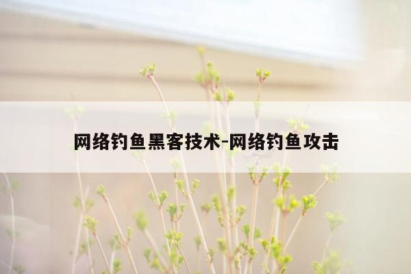 网络钓鱼黑客技术-网络钓鱼攻击