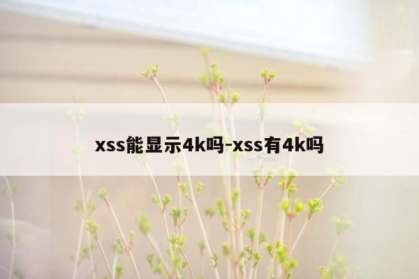 xss能显示4k吗-xss有4k吗