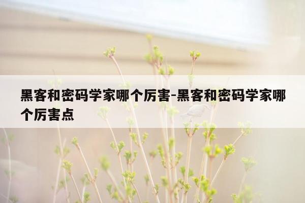 黑客和密码学家哪个厉害-黑客和密码学家哪个厉害点