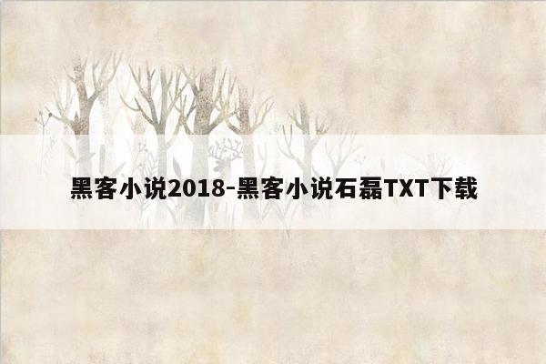 黑客小说2018-黑客小说石磊TXT下载