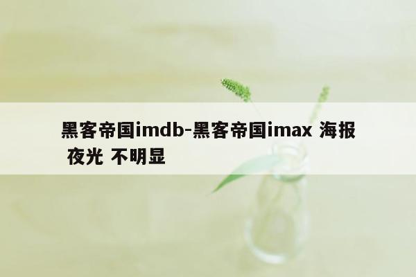 黑客帝国imdb-黑客帝国imax 海报 夜光 不明显