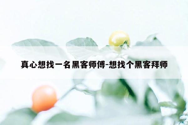 真心想找一名黑客师傅-想找个黑客拜师