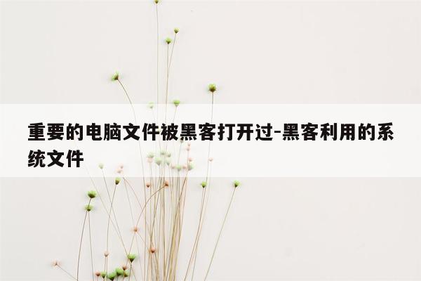 重要的电脑文件被黑客打开过-黑客利用的系统文件