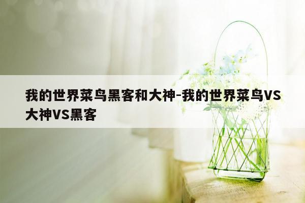 我的世界菜鸟黑客和大神-我的世界菜鸟VS大神VS黑客