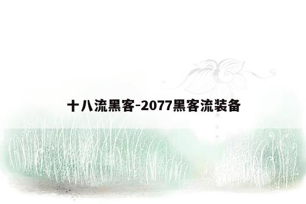 十八流黑客-2077黑客流装备