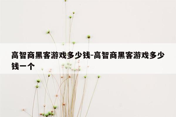 高智商黑客游戏多少钱-高智商黑客游戏多少钱一个