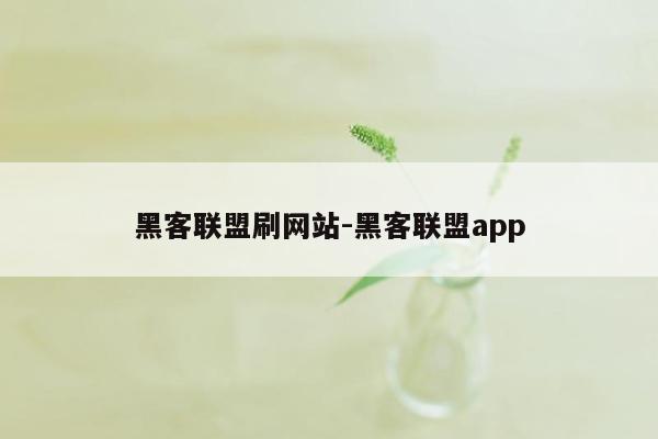 黑客联盟刷网站-黑客联盟app