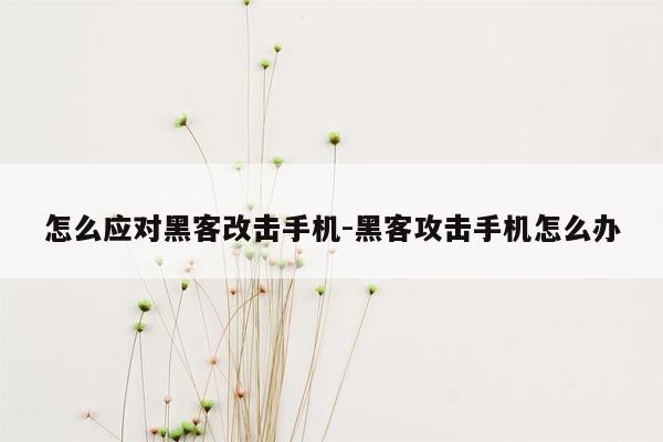 怎么应对黑客改击手机-黑客攻击手机怎么办