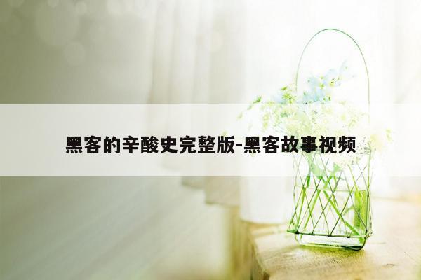 黑客的辛酸史完整版-黑客故事视频