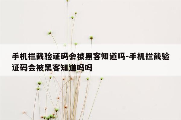 手机拦截验证码会被黑客知道吗-手机拦截验证码会被黑客知道吗吗