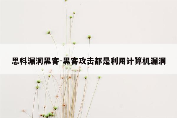 思科漏洞黑客-黑客攻击都是利用计算机漏洞