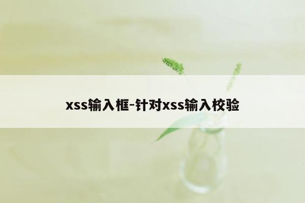 xss输入框-针对xss输入校验