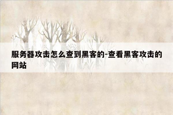 服务器攻击怎么查到黑客的-查看黑客攻击的网站