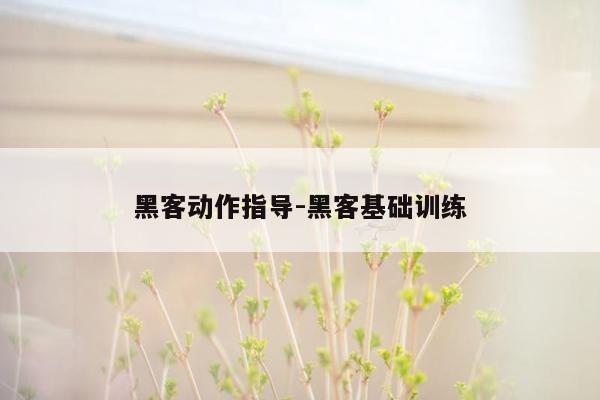 黑客动作指导-黑客基础训练