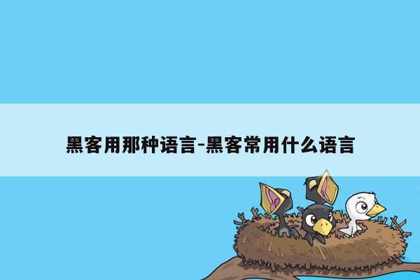 黑客用那种语言-黑客常用什么语言