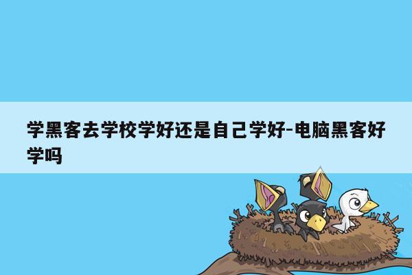 学黑客去学校学好还是自己学好-电脑黑客好学吗