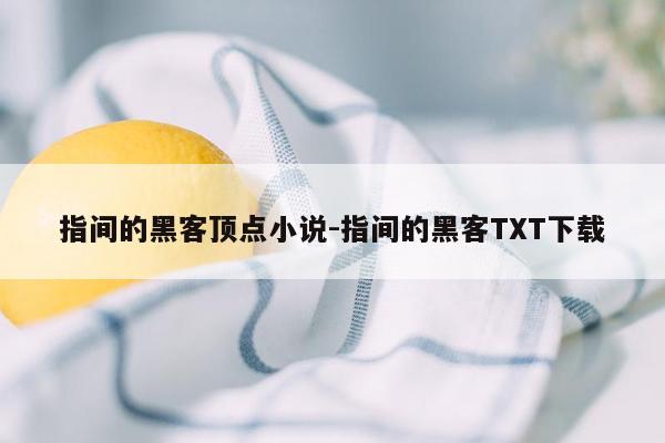 指间的黑客顶点小说-指间的黑客TXT下载