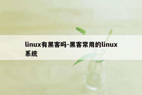 linux有黑客吗-黑客常用的linux系统