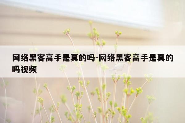 网络黑客高手是真的吗-网络黑客高手是真的吗视频