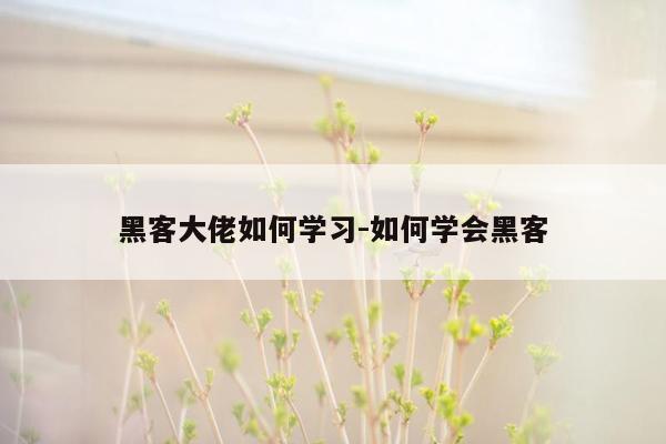 黑客大佬如何学习-如何学会黑客