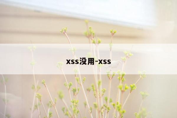 xss没用-xss