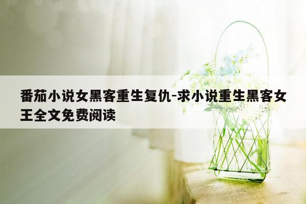 番茄小说女黑客重生复仇-求小说重生黑客女王全文免费阅读